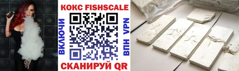 Cocaine FishScale  Купить  Сухиничи 