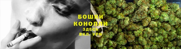 мдпв Зеленодольск