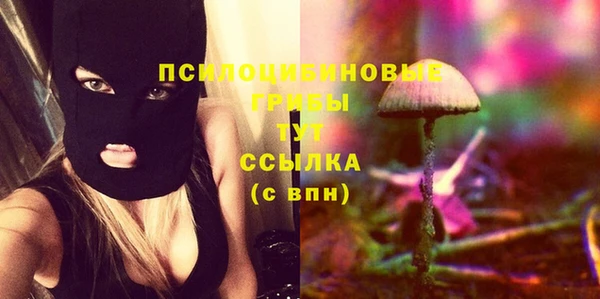 мдпв Зеленодольск
